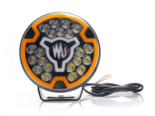 Proiector LED 12/24V [5]