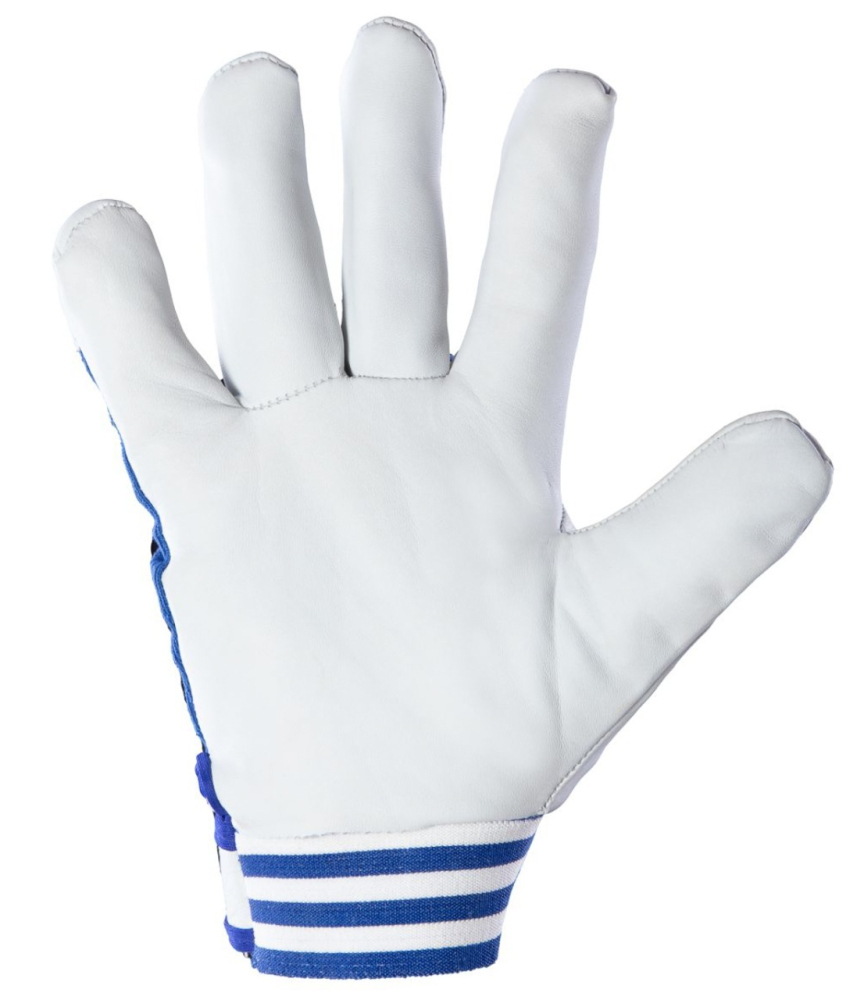 Manusi de protectie CABRA Blue cat.II, marimea 10 [2]