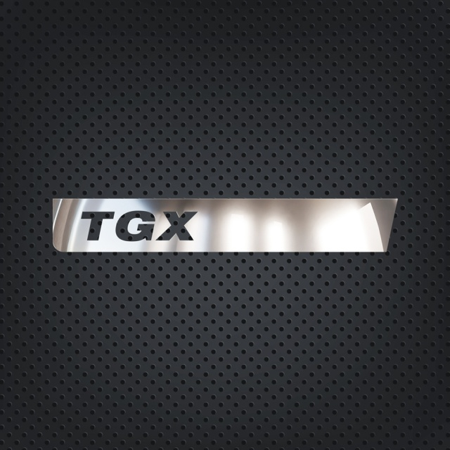 Set ornamente cromate usa  MAN TGS/TGX 2021+ [1]