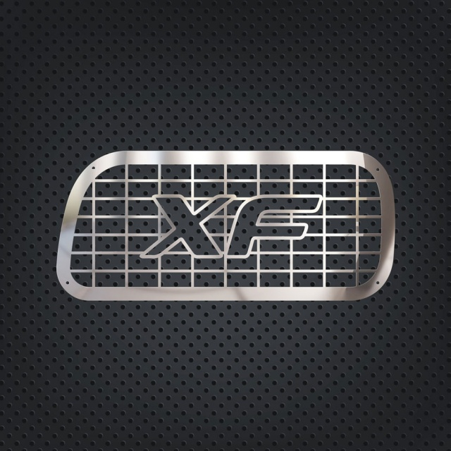 Set ornamente cromate far ceata DAF XF [2]