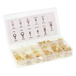Set papuci electrici [2]