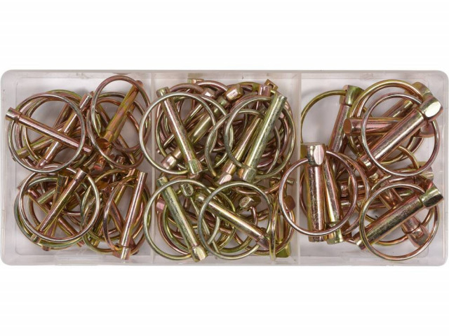Set pini pentru securizat, 50buc [1]