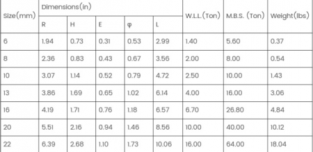 carlig scurtare cu ochi lant 10mm G100 [1]