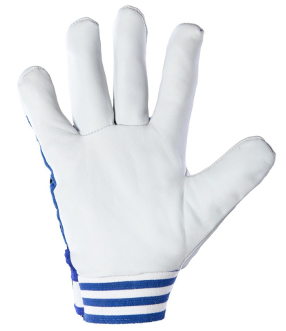 Manusi de protectie CABRA Blue cat.II, marimea 10 [1]