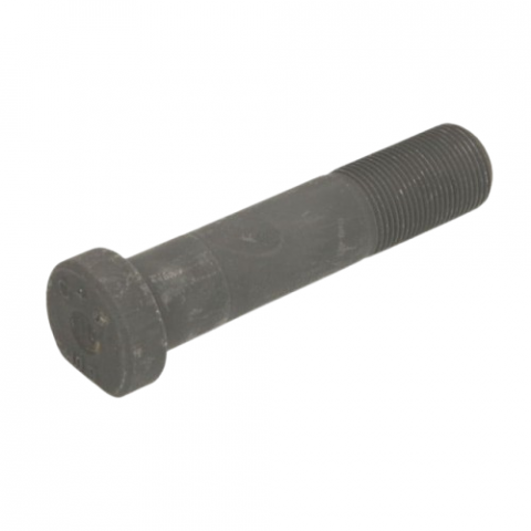 Piulite-Prezoane - Prezon M22x1,5x100mm