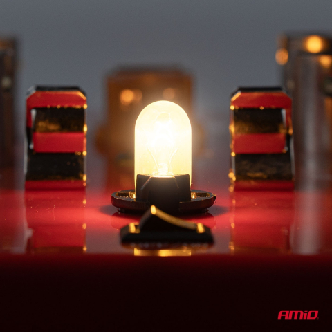 Set 2 becuri bord WY5W 12V 5W [3]