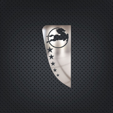 Accesorii Camion & Remorca - Set ornamente cromate geam IVECO STRALIS