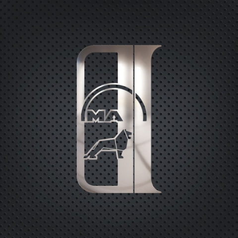 Accesorii Camion & Remorca - Set ornamente cromate pentru oglinda MAN TGA/TGX/TGS/TGL