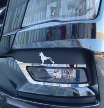 Accesorii Camion & Remorca - Set ornamente far ceata cromate MAN TGX 2021