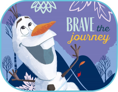 Accesorii - Set parasolare 44*35cm FROZEN