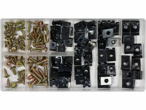 Trusa Scule-Unelte-Accesorii Service - Set Suruburi si Cleme pentru Caroserie, 170 bucati