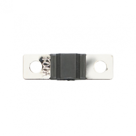 Accesorii Electrice - Siguranta auto fuzibila ANS 100A