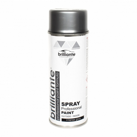 Intretinere Auto - Vopsea Spray Vopsea Spray Argintiu 400 ml