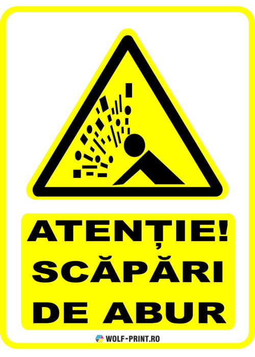 Indicator Scapari de abur [1]