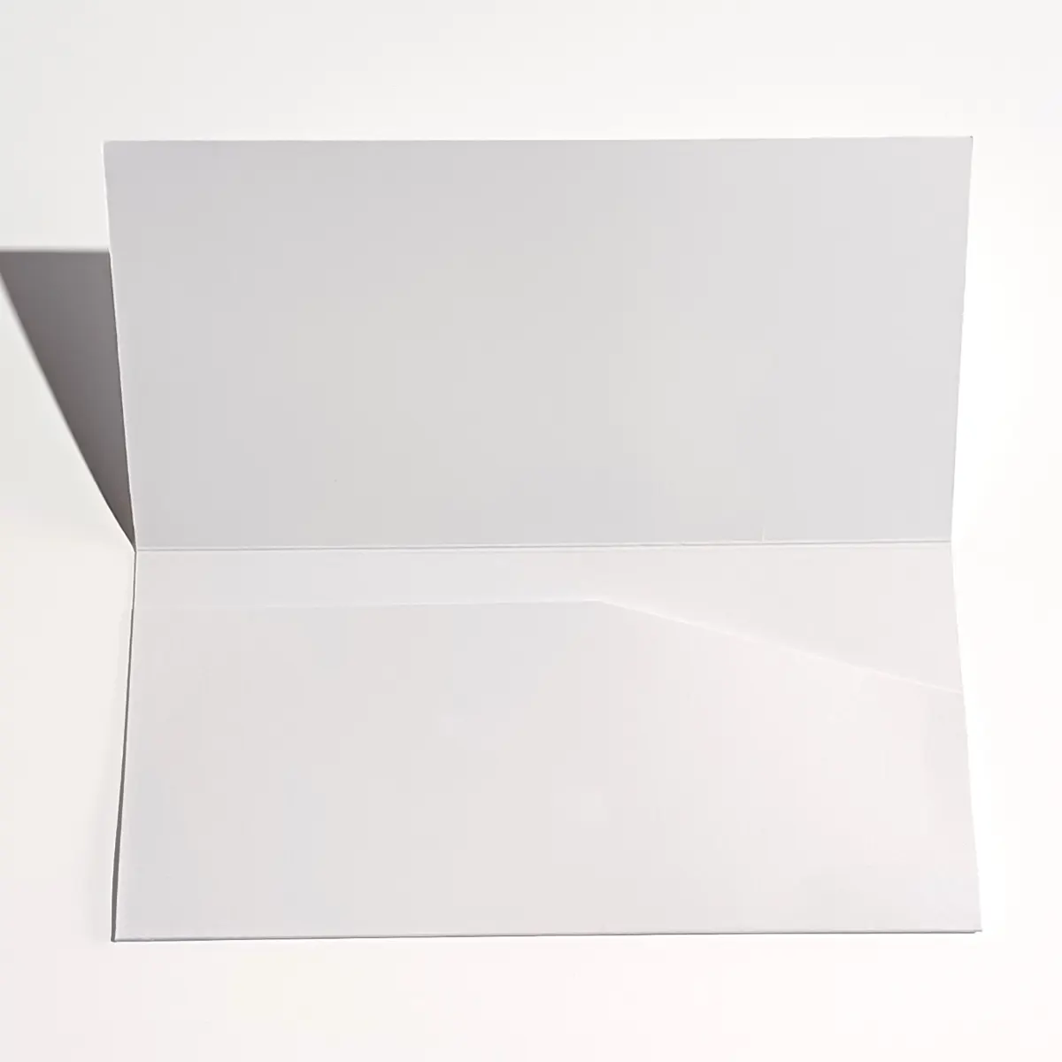 Plic Bani Botez 6 [3]