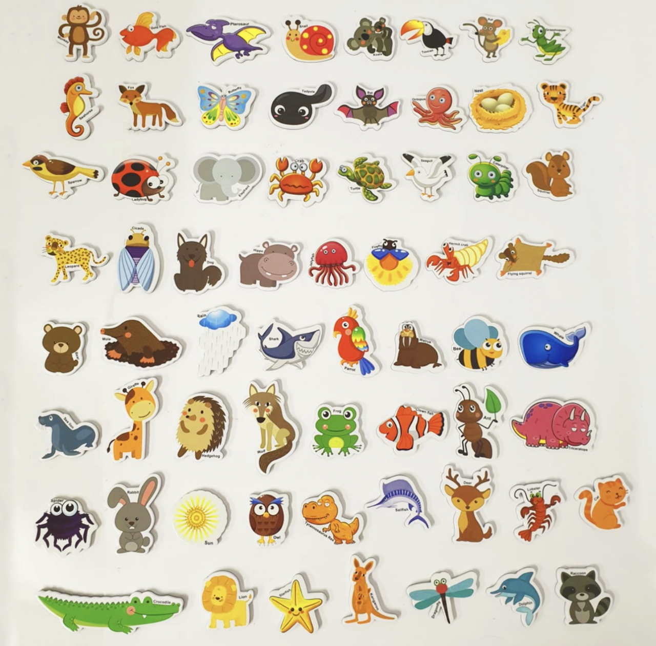 Animale magnetice Piese Educative din Spuma EVA [2]