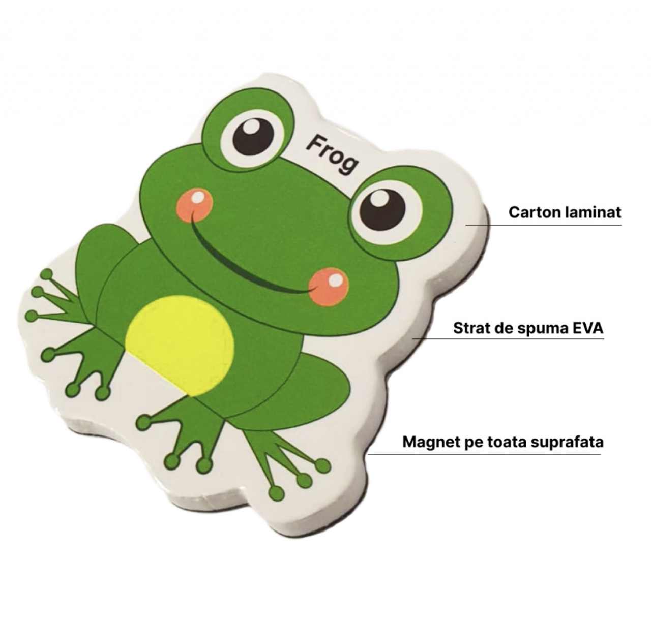 Animale magnetice Piese Educative din Spuma EVA [4]
