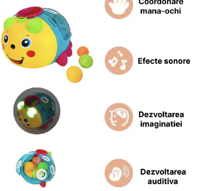 Buburuza Muzicala Jucarie Interactiva si Educativa [3]