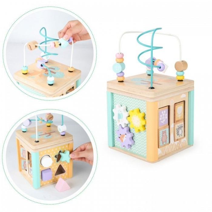Cub educational din lemn cu labirint si sortator Ecotoys HM015472 [6]