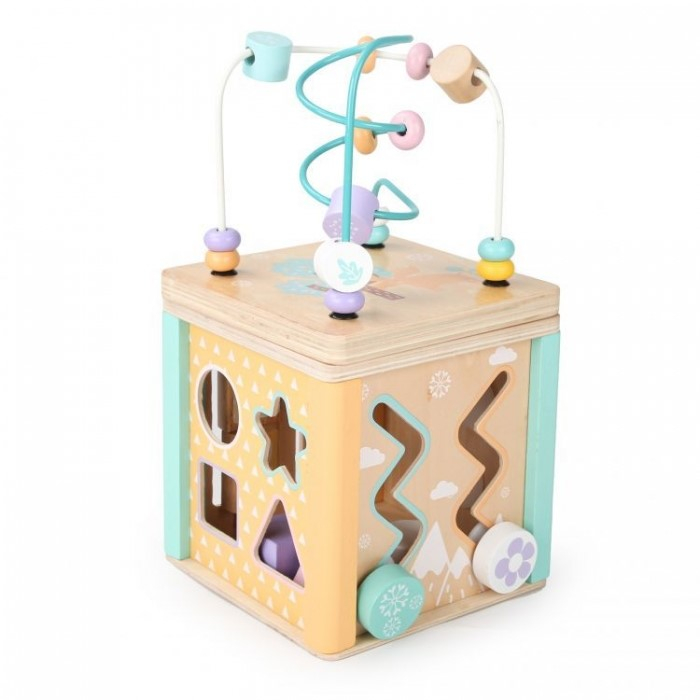 Cub educational din lemn cu labirint si sortator Ecotoys HM015472 [4]