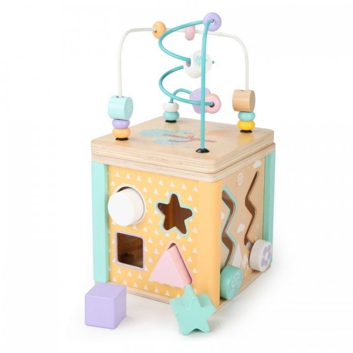 Cub educational din lemn cu labirint si sortator Ecotoys HM015472 [1]