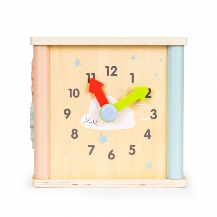 Cub educational din lemn pentru copii Ecotoys 1001 [6]