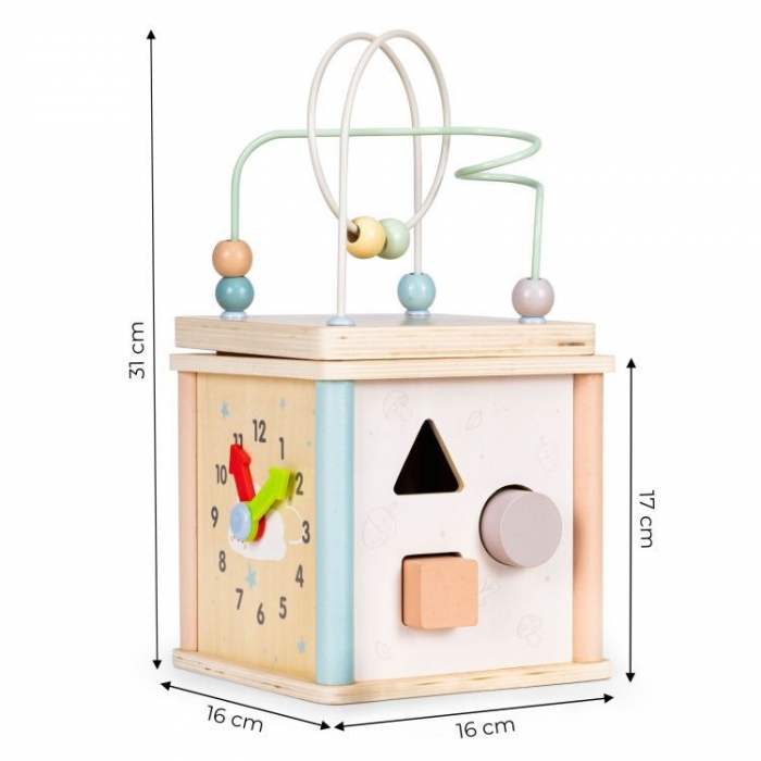 Cub educational din lemn pentru copii Ecotoys 1001 [8]