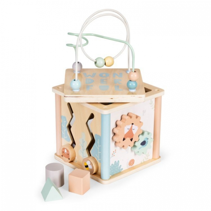 Cub educational din lemn pentru copii Ecotoys 1001 [2]