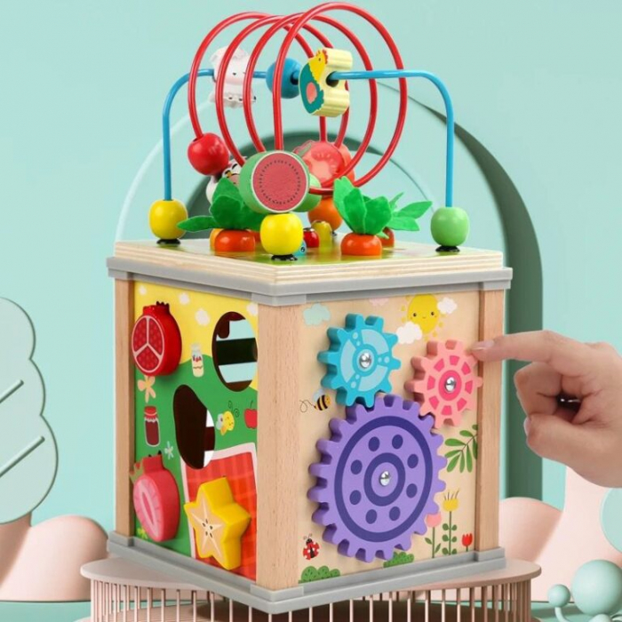 Cub Educativ bebe, din lemn cu 10 in 1 activitati [5]