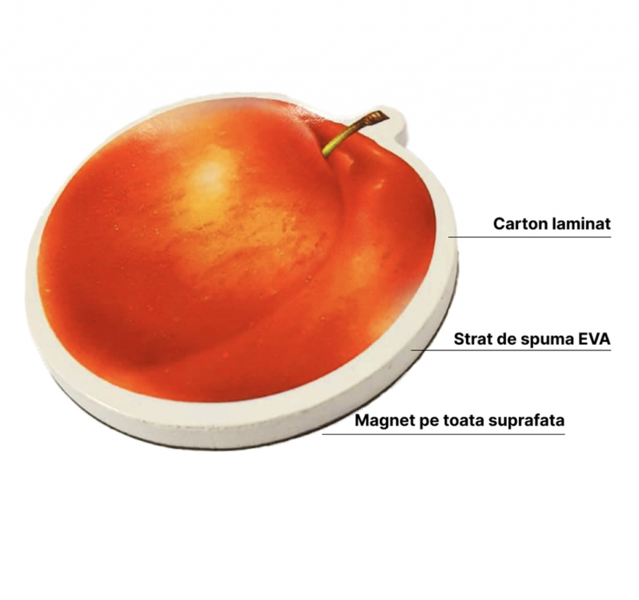 Fructe magnetice Piese Educative din Spuma EVA [3]