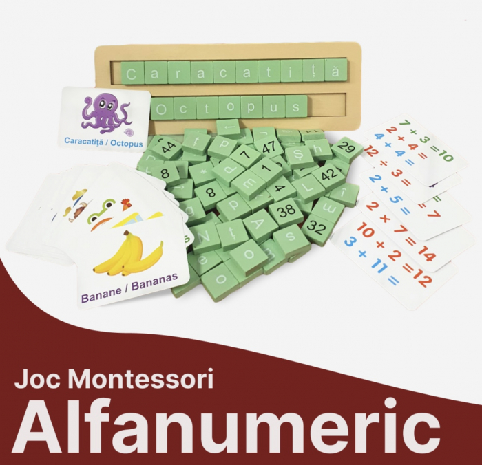 Joc educativ din lemn Ajutor de invatat alfanumeric [2]