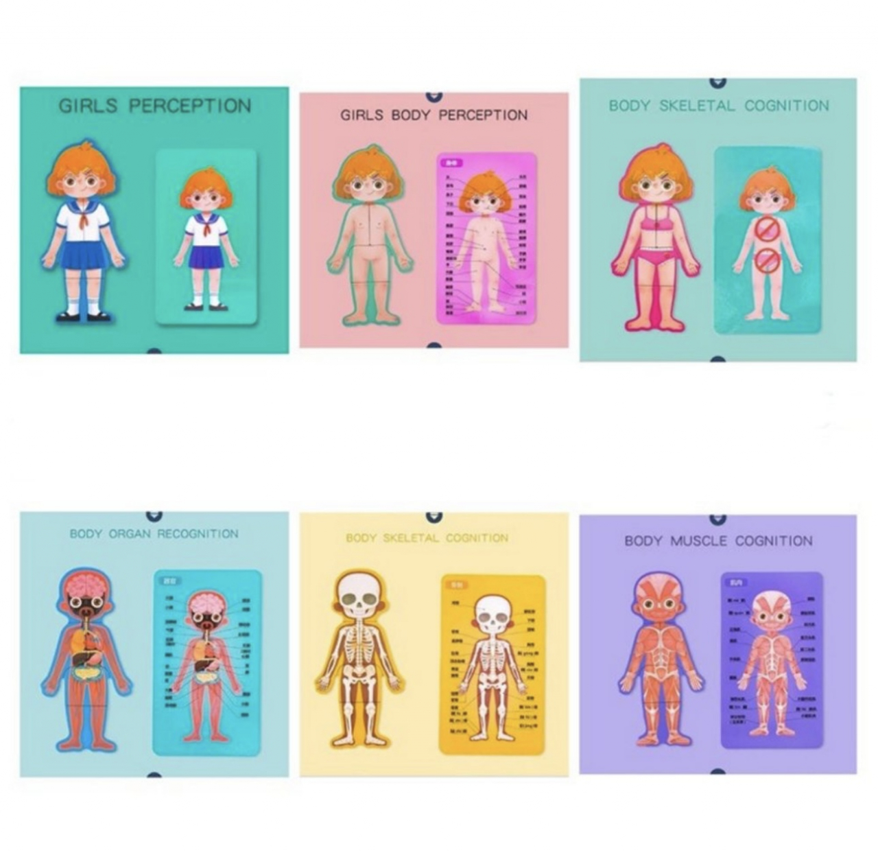 Joc Puzzle lemn Anatomia corpului uman [2]