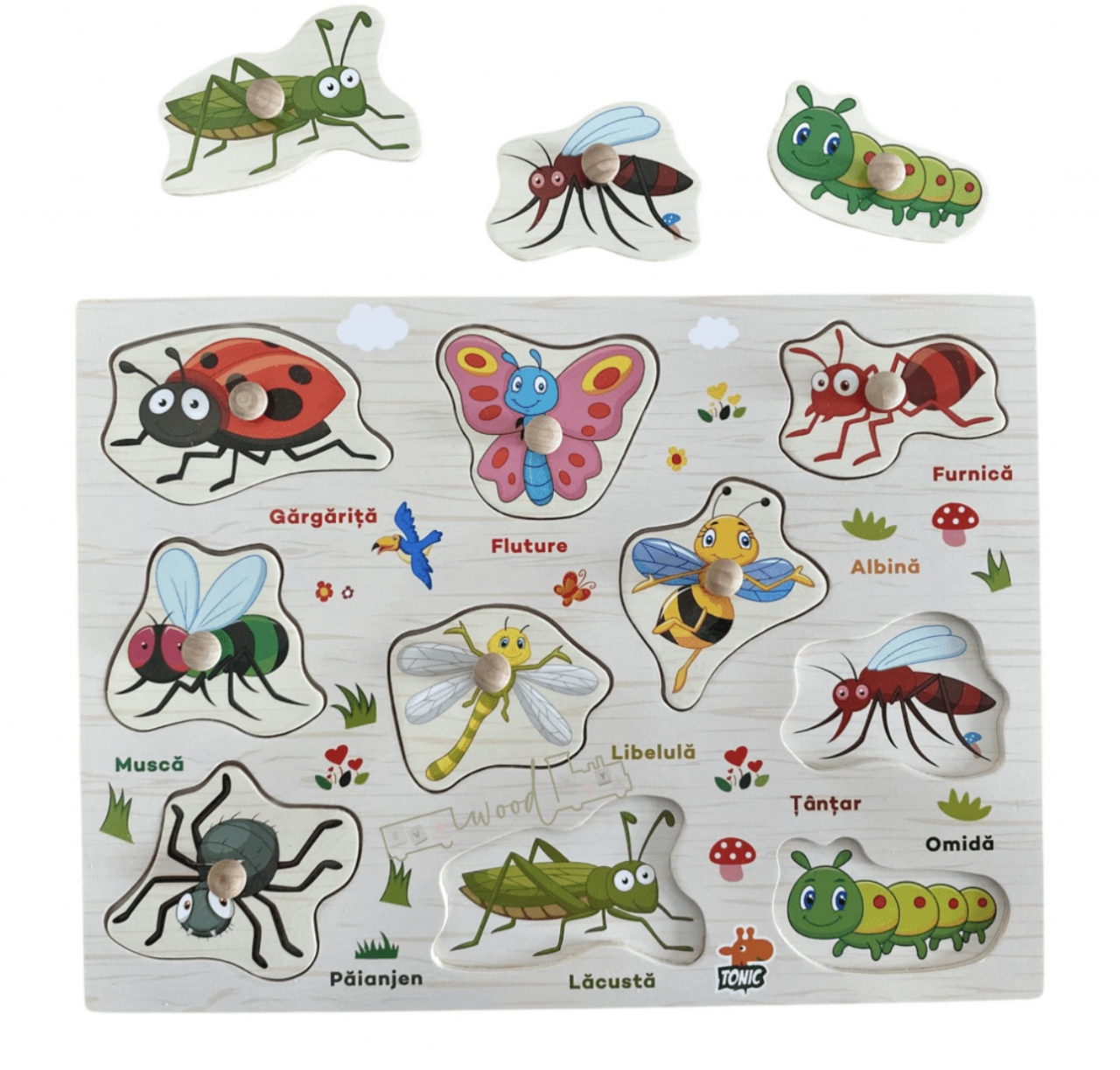 Puzzle Incastru din lemn in limba romana, Insecte [2]