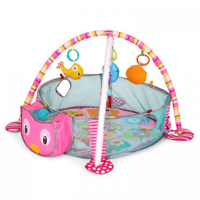 Salteluta de joaca cu bile si jucarii Ecotoys 88970 [1]