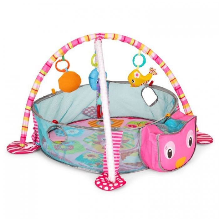 Salteluta de joaca cu bile si jucarii Ecotoys 88970 [3]