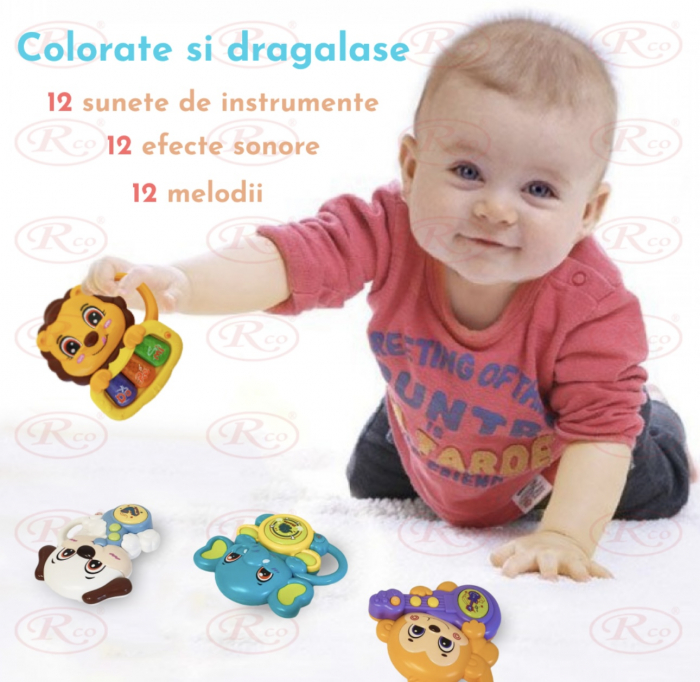 Set 4 Jucarii interactive bebe Mini orga Animalute cu instrumente [3]