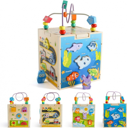 Centre de Activitati - Centru de activitati 5 in 1, Jucarie educativa bebelusi
