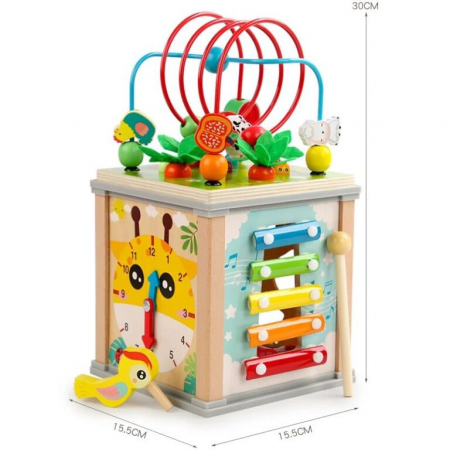 Cub Educativ bebe, din lemn cu 10 in 1 activitati [1]