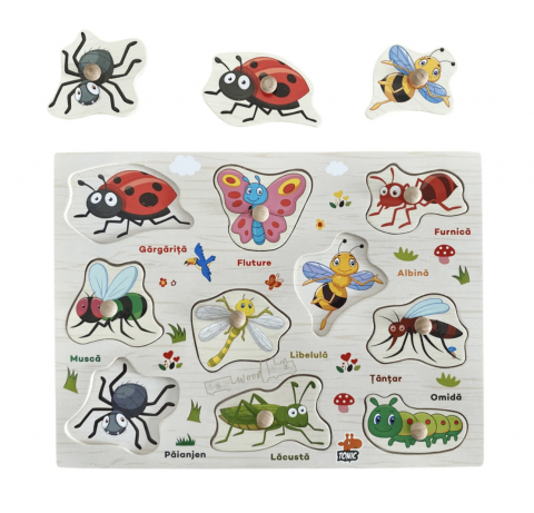 Nevoi Speciale, Autism si Sindromul Down - Puzzle Incastru din lemn in limba romana, Insecte