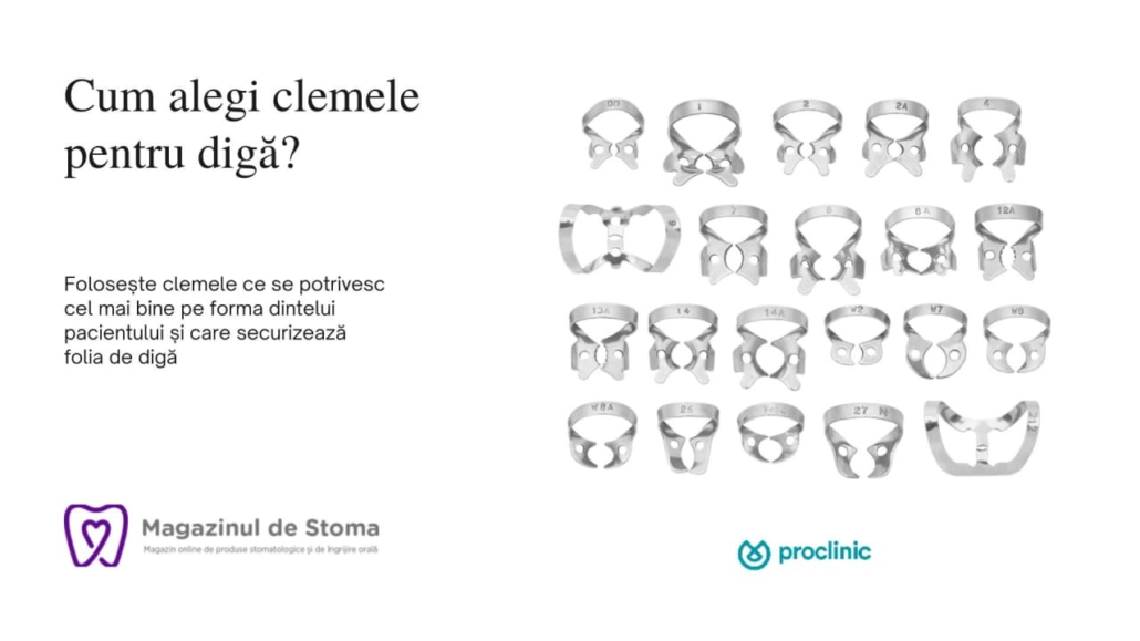 CUM ALEGI CLEMELE PENTRU DIGĂ?