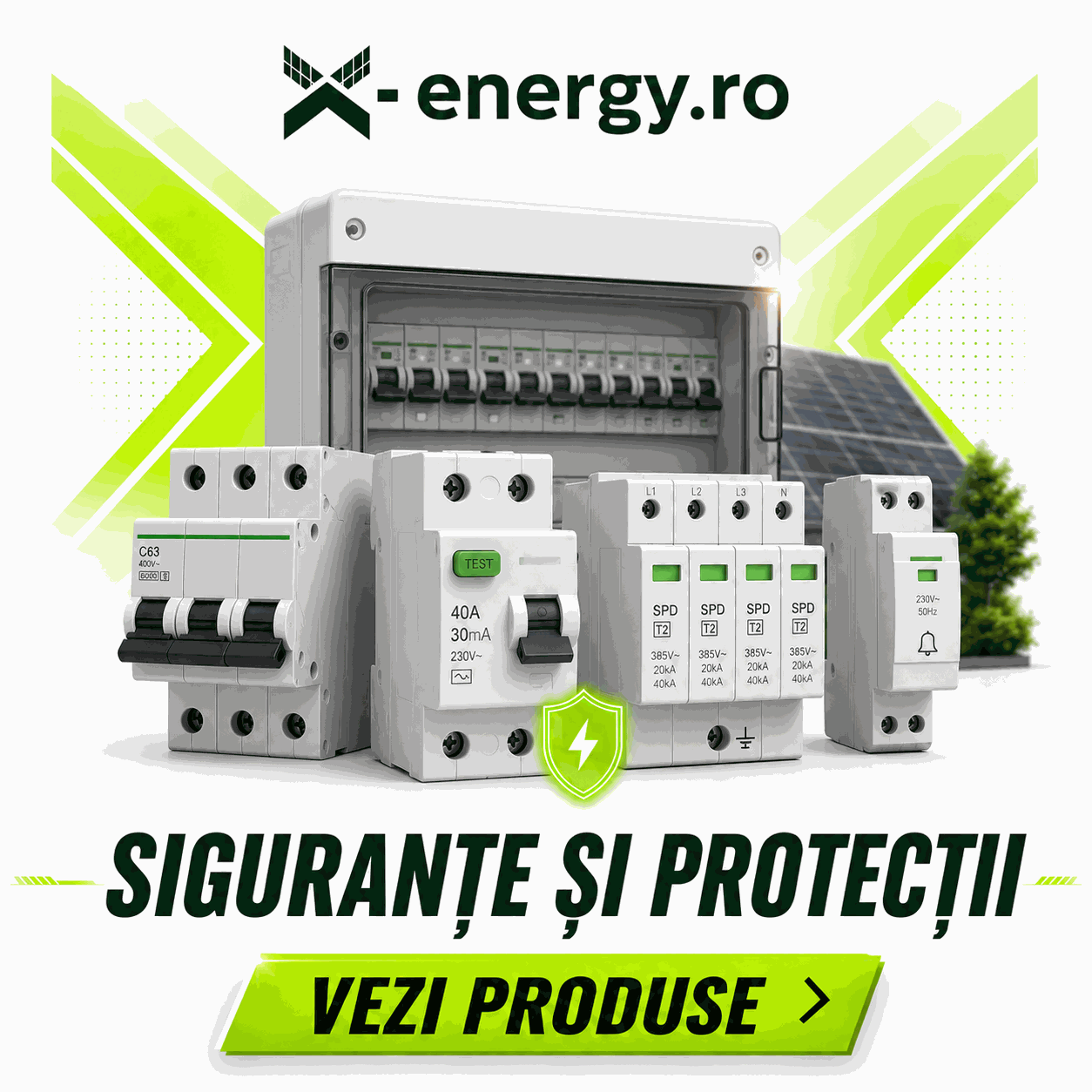 SIGURANTE SI PROTECTII