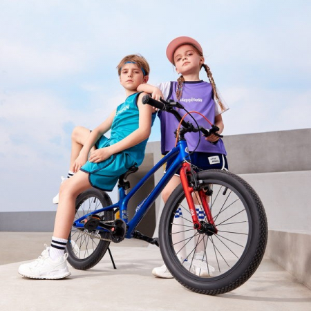 Bicicleta Royal Baby EZ Space Shark Albastru [7]