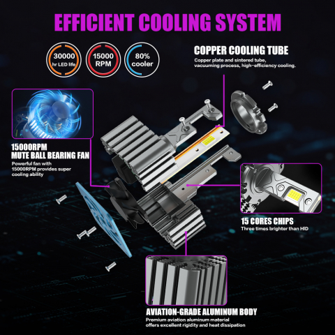 Set 2 becuri LED D5S Apollo D Pro 6500K [1]