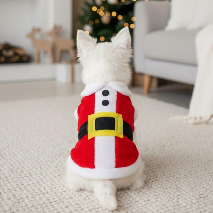 Bluza flausata pentru Craciun 20B12 [1]