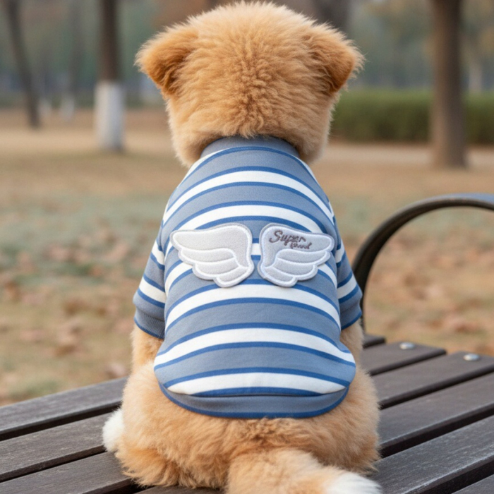 Bluza ingeras MDL-06A [2]