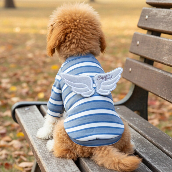 Bluza ingeras MDL-06A [1]