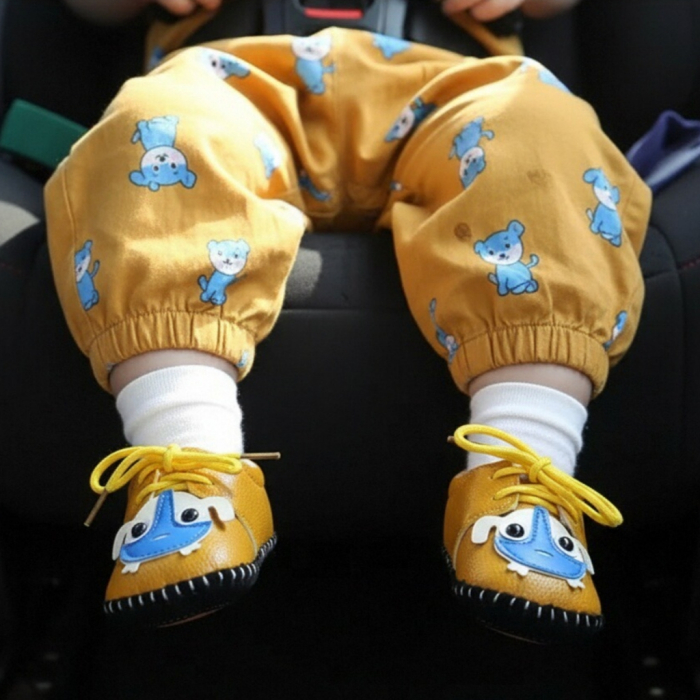 Botosei 111marodeschis [1]