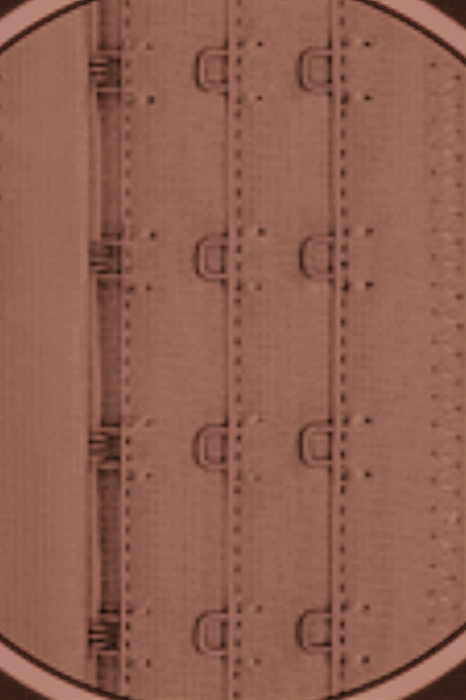 Chilot modelator cu talie foarte inalta si sistem inchidere reglabil TANG-A4346roz [3]