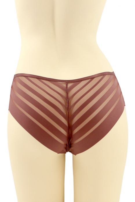 Chiloti clasici cu segmente transparente CT-Q8201visiniu [2]