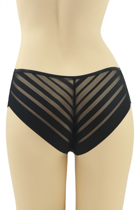 Chiloti clasici cu segmente transparente CT-Q8201negru [2]